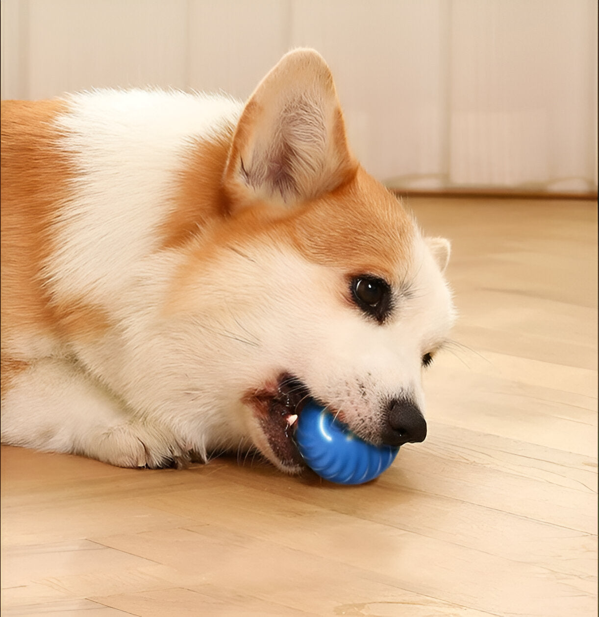 Älykäs Iso Hyppypallo - Smart Ball